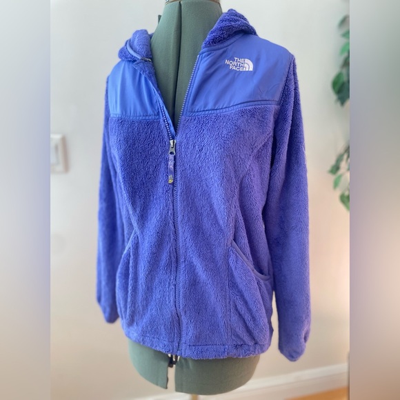 The North Face bluish purple zip up Hoodie - Picture 4 of 11
